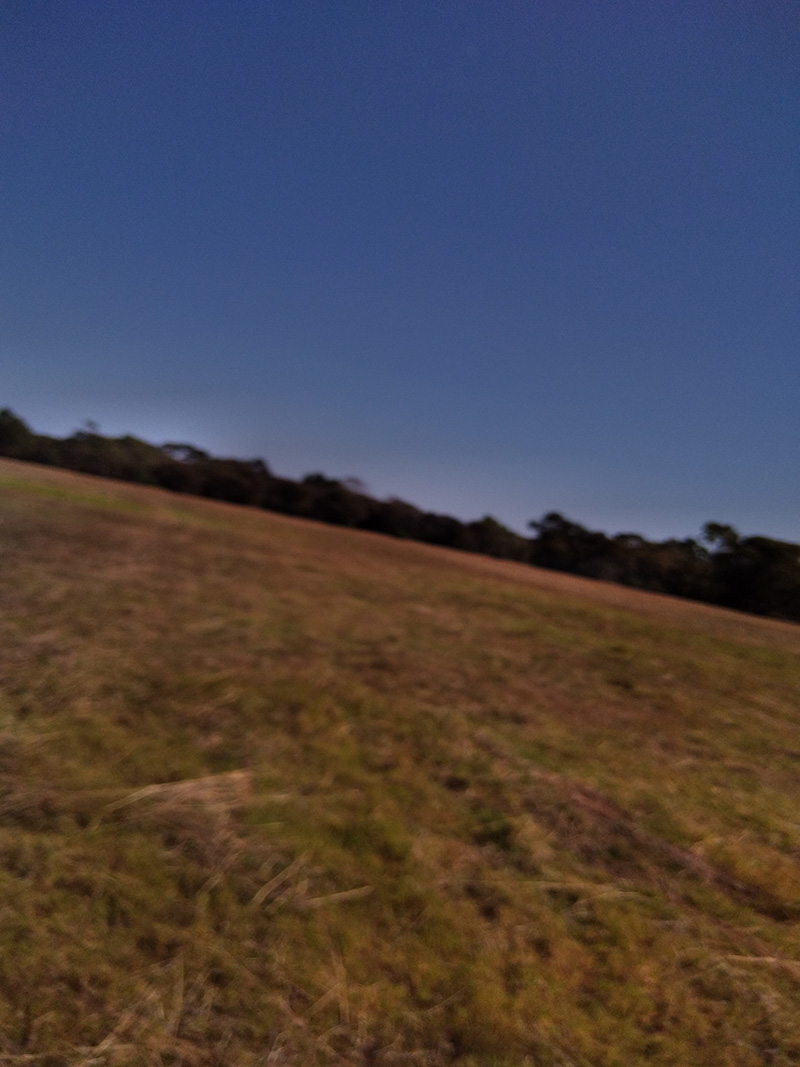 Photograph of Circular Grass Field